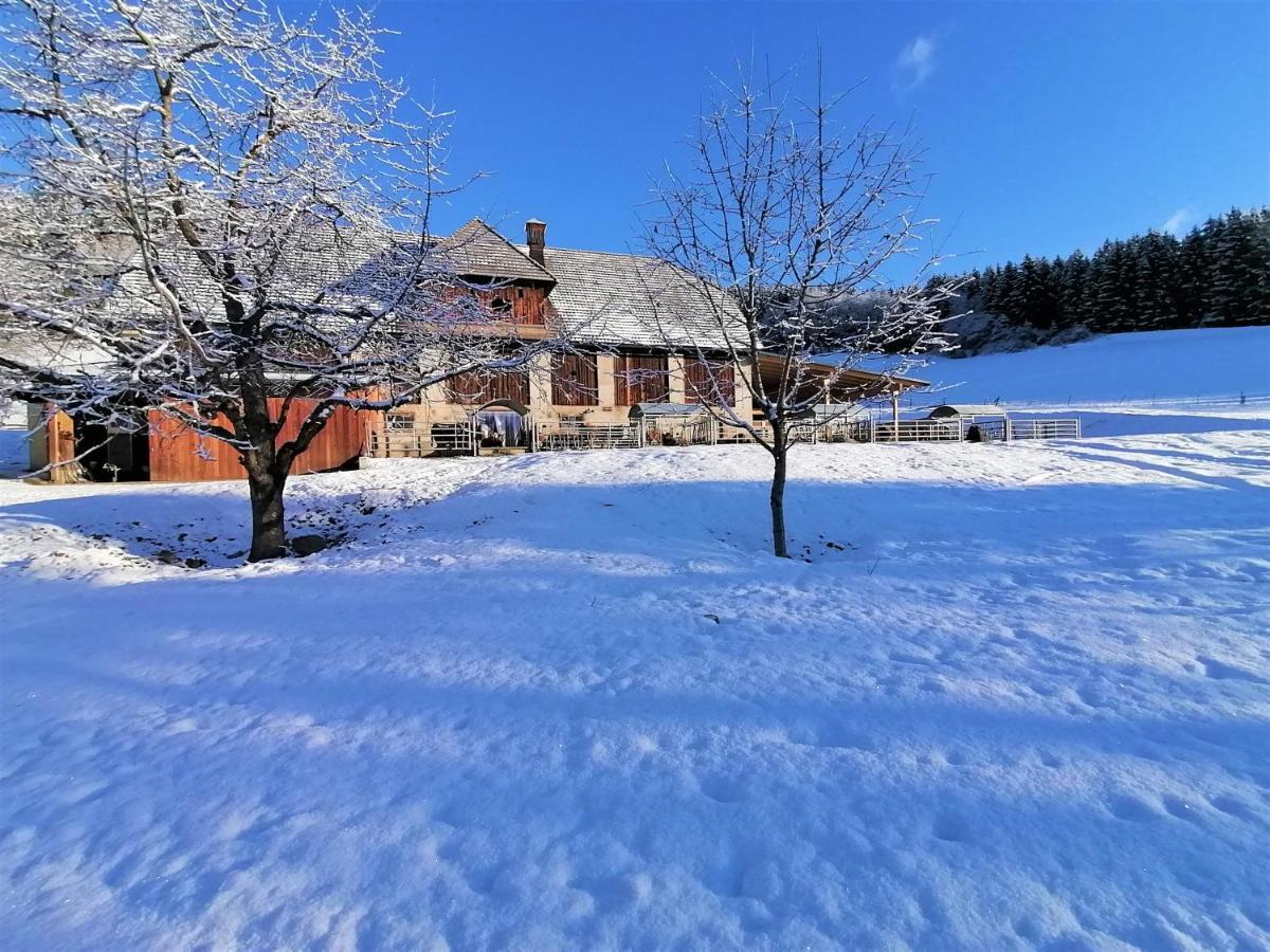 Ferienwohnung Staudachhof Althofen  Exterior foto