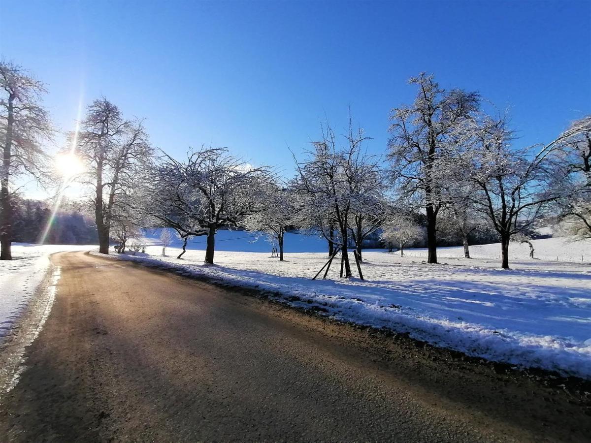 Ferienwohnung Staudachhof Althofen  Exterior foto