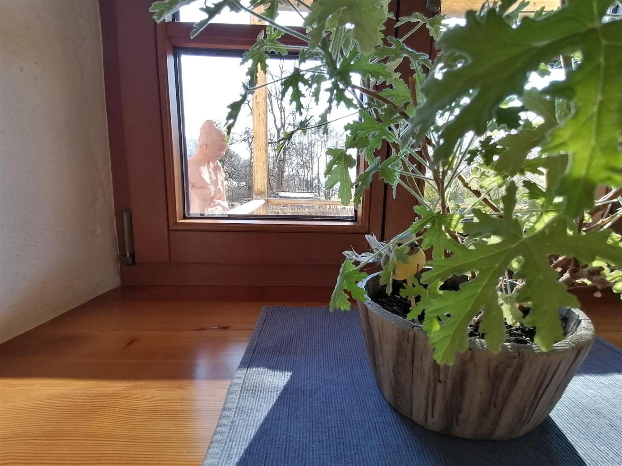 Ferienwohnung Staudachhof Althofen  Zimmer foto